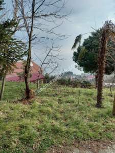 Trabzon Akçaabat Salacıkta Kiralık Eşyalı Bahçeli Ev 13