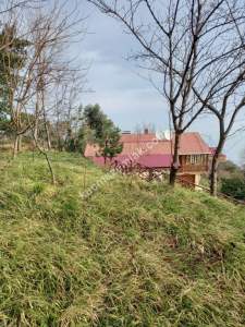 Trabzon Akçaabat Salacıkta Kiralık Eşyalı Bahçeli Ev 20