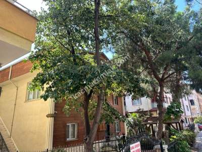 Kaçmaz'dan Güzelyalı Merkezde E5 Cephe Satılık İş Yer 8