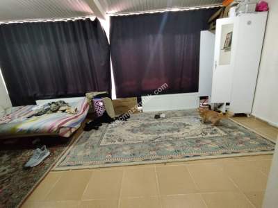 Sivas Satılık Bina-Bahtiyarbostan Mah. Kiracılı 3 Kat 30