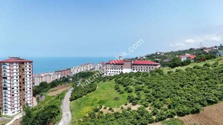 Trabzon Akçaabat Söğütlü'de Satılık Bina ​ 18