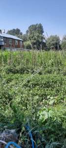 Bolu Karacasu'da Satılık Müstakil 2 Katlı Ev & Arsa !! 4