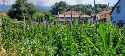 Bolu Karacasu'da Satılık Müstakil 2 Katlı Ev & Arsa !! 25