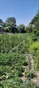 Bolu Karacasu'da Satılık Müstakil 2 Katlı Ev & Arsa !! 3