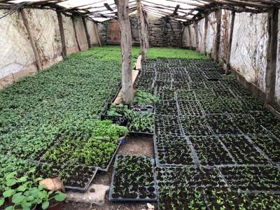 Gelibolu Karainebeyli Köyünde Satılık Kargir Ev 5