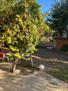 Edirne Merkez Yeni Kadın Köyünde Bahçeli Ev 20