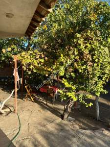 Edirne Merkez Yeni Kadın Köyünde Bahçeli Ev 14