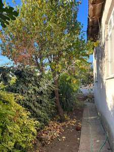 Edirne Merkez Yeni Kadın Köyünde Bahçeli Ev 21