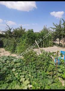 Karaman'da Satılık Müstakil Ev 8