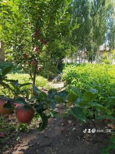 Develi Yenihayat Mah Satlık Bahçeli Ev 34