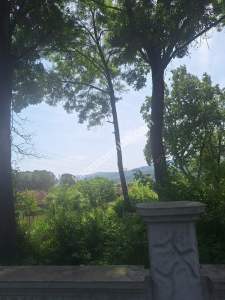 Sakarya Mahmudiyede Satılık Bahçeli Villa 6