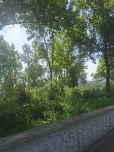 Sakarya Mahmudiyede Satılık Bahçeli Villa 7