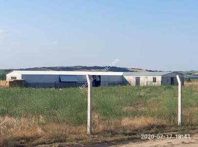 Edirne Uzunköprü'de Krediye Uygun Satılık Çiftlik 5