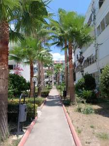 Avsallar Megakent'te Satılık 2+1 Full Eşyalı Daire 5