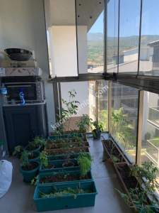 Kuşadası Davutlarda Havuzlu Sitede Satılık Daire 2+1 8