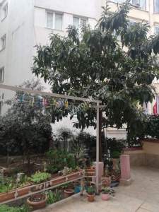 Yıldırım İlçe Yıldırım Mah Satılık 2+1 Bahçeli Daire 29