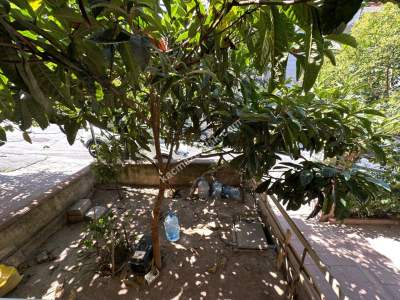 Maltepe Fındıklı Yüksek Girişli 2+1 Satılık Dairemiz 35