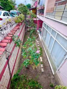 Silivri Semizkumlar Maviyelken Satılık Bahçeli Yazlık 4