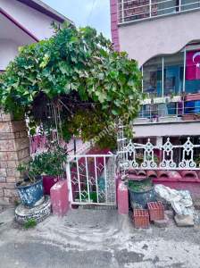 Silivri Semizkumlar Maviyelken Satılık Bahçeli Yazlık 3