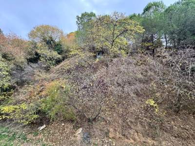 Acıbademde Arakat Koru Manzaralı 12+ M2 Net Satılık 3+1 28