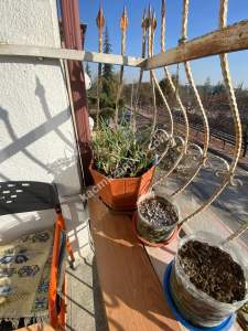 Yeni İstanbul Caddesi Cepheli , Satılık Daire. 16