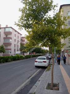 Niğde Bor Başpınar Mahallesinde Satılık 2+1 Daire 19