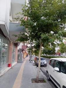 Niğde Bor Başpınar Mahallesinde Satılık 2+1 Daire 18