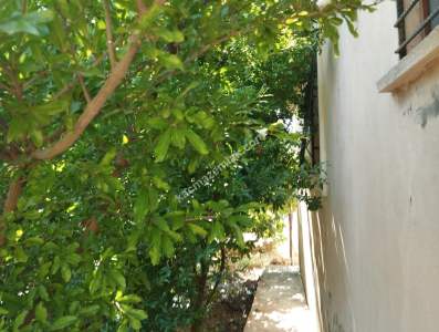 Siirt Veysel Karani Mah. Satılık Müstakil 3+1 Daire 19