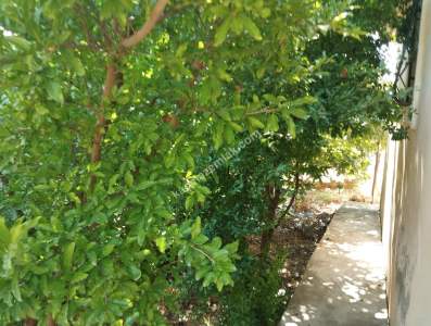 Siirt Veysel Karani Mah. Satılık Müstakil 3+1 Daire 20