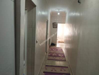 Siirt Yeni Mahalle Andera Avm Üstü Satılık 3+1 Daire 25