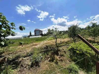 Akçaabat Yeni Adliye Binası Yanında Satılık Daire 8