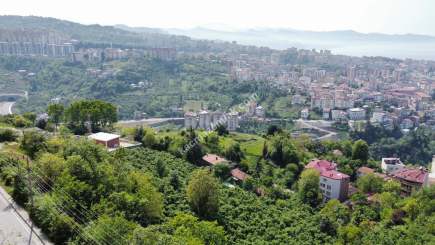 Trabzon Boztepede 2 Yıl Sonra Teslim Toraktan Daireler 22