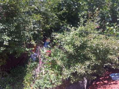 Zonguldak Mithatpaşa Mah.de Satılık İki Katlı Bina 25