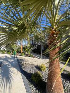 Manavgat Sidede Site İçi Havuzlu Satılık 2+1 Dubleks 31