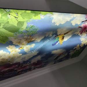 Mimar Sinan Mh 3+1 Dubleks Kullanisli Daire 15