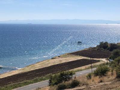 Tekirdağ Şarköyde Denizin Dibinde Satılık Dublex Daire 1