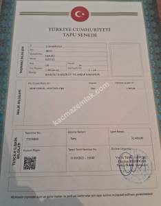 Çanakkale Biga Işıkeli Köy Hudutları İçinde Bahçeli Ev 12