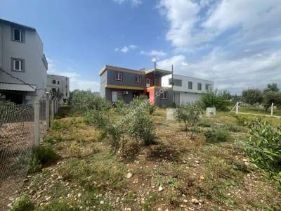 Adana Çukurova Yeni Mahallede Havadar Konum 2