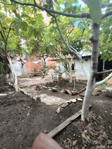 Kaçmaz Emlak Nazilliden Satılık Müstakil Ev 5