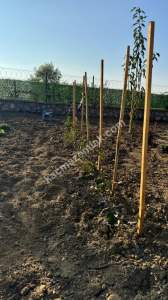 Muhteşem Manzaralı Müstakil Ev 11