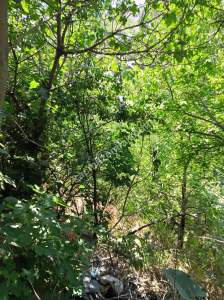 Osmangazi Gökçeörende Satılık Müstakil Ev 6