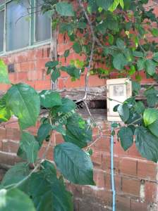 Osmangazi Gökçeörende Satılık Müstakil Ev 8