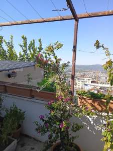 Değirmenli Kızıkta Satılık 5 Katlı Müstakil Bina 3