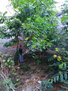 Değirmenli Kızıkta Satılık 5 Katlı Müstakil Bina 8