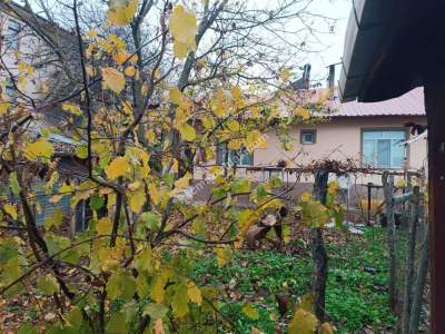 Kastamonu Araç Satılık Müstakil Ev 29