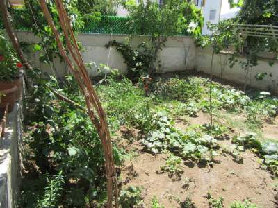 Kayseri Develi Mustafa Asım Köksal Mah. Müstakil Ev 11