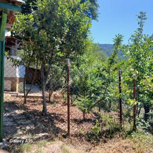 Kocaeli Başiskelede Satılık Müstakil Ev 2