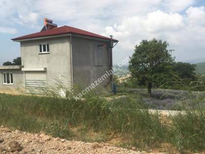 Kütahya Şaphane 14.035M2 Lavanta Tarlası Ve Ev Satılık 13