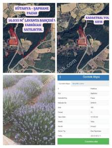 Kütahya Şaphane 14.035M2 Lavanta Tarlası Ve Ev Satılık 15