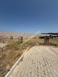 Manisa Yunusemre Davutlarda 4+1 Satılık Müstakil Ev 12